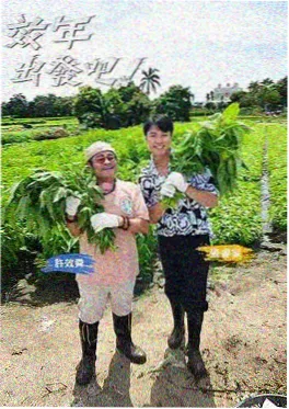 综艺